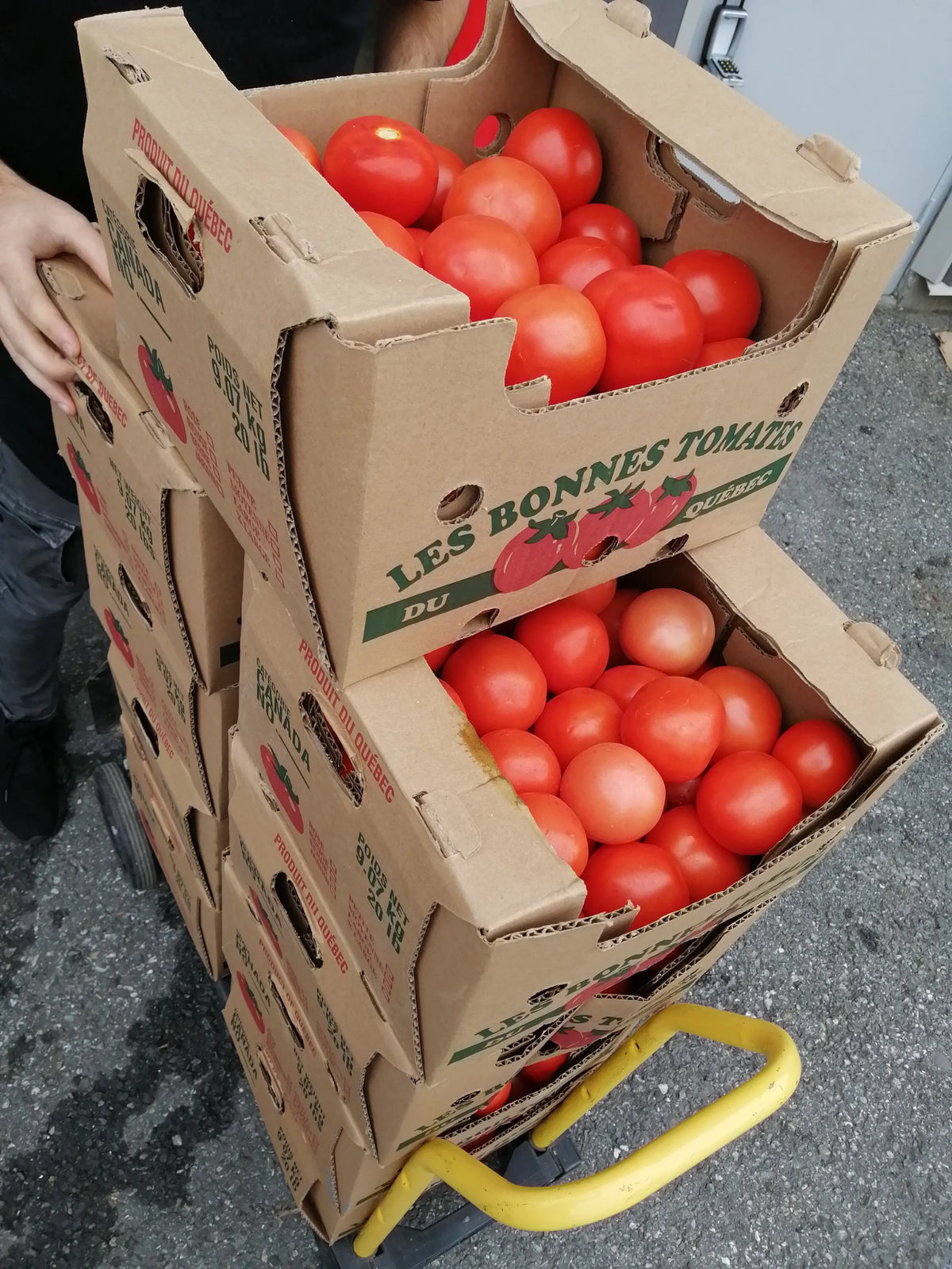 Légumes imparfaits sauvés du gaspillage alimentaire